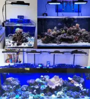 Smart Adjustable Waterproof Aquarium LED Lamps