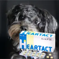 在飛比找蝦皮購物優惠-現貨免運✔️日本全藥ZENOAQ HEARTACT 心錠10