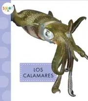 Los Calamares (Animales del Oceano) [Spanish] by Schuh, Mari C. [Paperback]