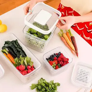 【美國 OXO】蔬果活性碳長鮮盒-共3款《WUZ屋子-台北》收納 保鮮盒 活性碳 OXO 保鮮