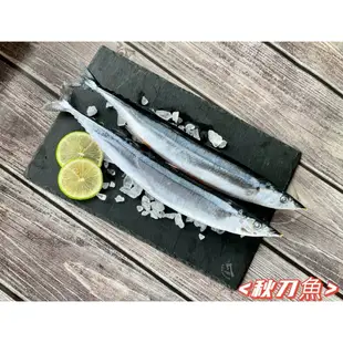 五朝港水產-嚴選秋刀魚