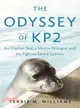 The Odyssey of KP2—An Orphan Seal, a Marine Biologist, and the Fight to Save a Species