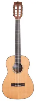 KALA KA-SCAC-B8 - Gloss Solid Cedar Top Acacia 8-String Baritone Ukulele, With B