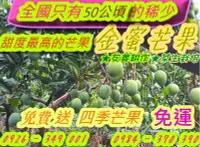 在飛比找Yahoo!奇摩拍賣優惠-(免費 送 4斤四季芒果)  金蜜芒果 B級'NG'果  1