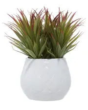 Peyton Lane Striped Stemmed Aloe Green Faux Foliage Indoor Outdoor Artificial Plant with Realistic Leaves and White Ceramic Pot