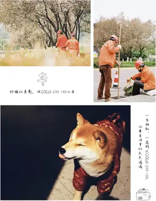 【eYe攝影】現貨 柯達 Kodak GOLD 彩色負片 36張 400 135 軟片 底片 膠卷