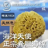 在飛比找momo購物網優惠-【海洋天使 Mermaid Angel】蜂巢海綿-天然色16