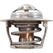 Jandy R0589700 Thermal Regulator Valve for JXI Gas Heaters 200 260 400