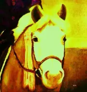 Giclee HORSE PRINT PONY Art FIRST RIBBON artist BETS 6 COLORS print size 14 X 16