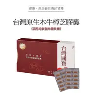 在飛比找PChome24h購物優惠-金牌牛樟芝固態培養菌絲體膠囊 1盒180粒