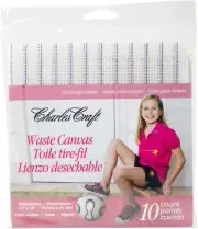 Waste Canvas 10 Count 12"X18" Natural