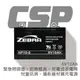 【CSP進煌】NP10-6 鉛酸電池6V10AH/緊急照明燈/充電燈具/電子秤/兒童電動車/兒童車