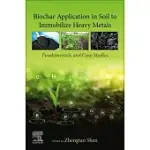 BIOCHAR APPLICATION IN SOIL TO IMMOBILIZE HEAVY METALS: FUNDAMENTALS AND CASE STUDIES