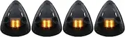 AnzoUSA 861076 Cab Roof Light