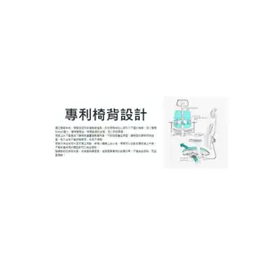 DUOREST DR-2500G-DAM 雙背人體工學椅(座網)