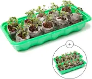 Mini Greenhouse Seed Starter Kit - 30 Cells - 3 Pack Indoor Germination Trays