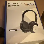 Wantek Wireless Headset with Mic USB Dongle Bluetooth Headphone for Home/Office