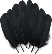 ✨ 120Pcs Black Goose Feathers Natural Bulk 6-8 in.15-20Cm Nagoire