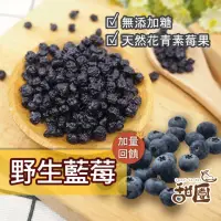 在飛比找momo購物網優惠-【甜園】無糖野生藍莓 60gx1包(無添加物 天然水果乾 新