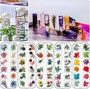 5 Boxes Natural Dried Flowers Real Dry Flowers Nail Dried Flowers for Resin Jewelry, Candle Making, Nail Art, DIY Making Craft