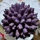 10.95LB Purple Ghost Phantom Crystal Cluster Flower Raw Crystal Heal Quartz