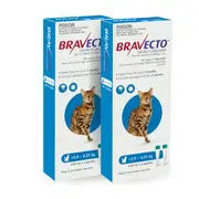 Bravecto Cat Spot-on Blue 2.8-6.25kg 4 pack (12 months)