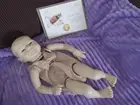 Reborn Doll KIT Bo, by Sandy Faber, Body and COA