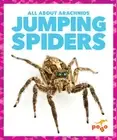 Jumping Spiders by Becca Becker Hardcover Book