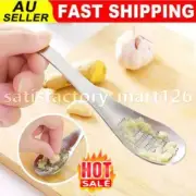 Stainless Steel Spoon Shape Shred Grind Wasabi Ginger Garlic Kitchen Grater RL