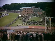 Horse Racing Paddock scene at Goodwood Racecourse Old Historic Photo 2