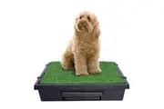 PetSafe Pet Loo Pet Toilet | Medium