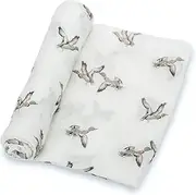 LollyBanks Muslin Swaddle Blanket | 100% Cotton | Newborn and Infant Blanket | Large 47 x 47 inches for Girls | Light Weight and Breathable | Mallard Duck Prints