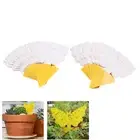 50pcs Sticky Fruit Fly Traps, Fungus Gnat Killer Trap use for Indoor Outdoor