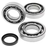 All Balls Crankshaft Bearing Kit for Polaris Magnum 330 2x4 03-05