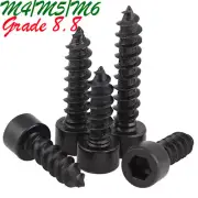 M4 M5 M6 Metric Grade 8.8 Black Alloy Steel Hex Socket Head Cap Tapping Screws