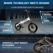 Beach Rider 20" ebike Foldable Mountain Electric Bicycle 250W LG Fat Tyre e-bike
