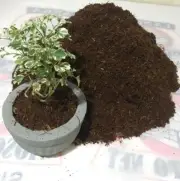 100% Natural Organic Coconut Coir Coco Peat Quality Plants Growing Media COMPOST