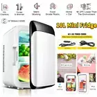 10L Mini Fridge Home Portable Mini Fridge for Drinks Bar Beauty Makeup 12V Car