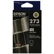 Epson 273 Photo Black Ink Cartridge (Original)