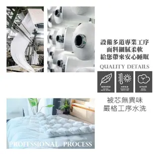 【BOSS BEDDING 小老闆寢具】五星級飯店白鵝絨飯店被(棉被 鵝絨 羽絨 被子 被 雙人被)