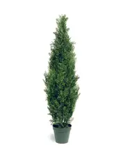 National Tree Company 60in Arborvitae Tree with Pot