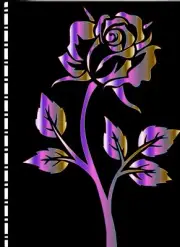 Password Web Address Book Metallic Rose 5"X 7