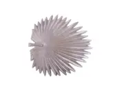 Cast Iron Decorative Metal Palm Frond Kitchen Trivet 8"