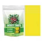 Sticky Fruit Fly Traps Germ Gnat Killer Trap Paper for Indoor Outdoor