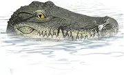 Pond Floating Alligator Head for Outdoor Pools - Duck Deterrent Float, Fake Gator Crocodile Decor Sculpture for Koi Pools