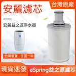 限時免運☆安麗淨水器濾心 益之源 濾心 原裝正品净水器濾芯 净水器 ESPRING濾芯 濾心