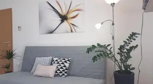 Kozponthoz kozeli - Cool Tettye Apartman