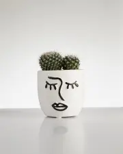 Cactus “Mammillaria” cluster in Face Pot (60mm)