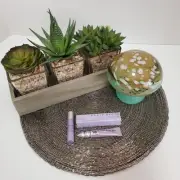 Urban Decay Lot Of 2 Primer Potions And 1 Lush Lash Mascara, New, Travel Size