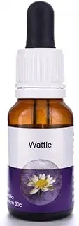 Wattle Flower Essence 100 ml